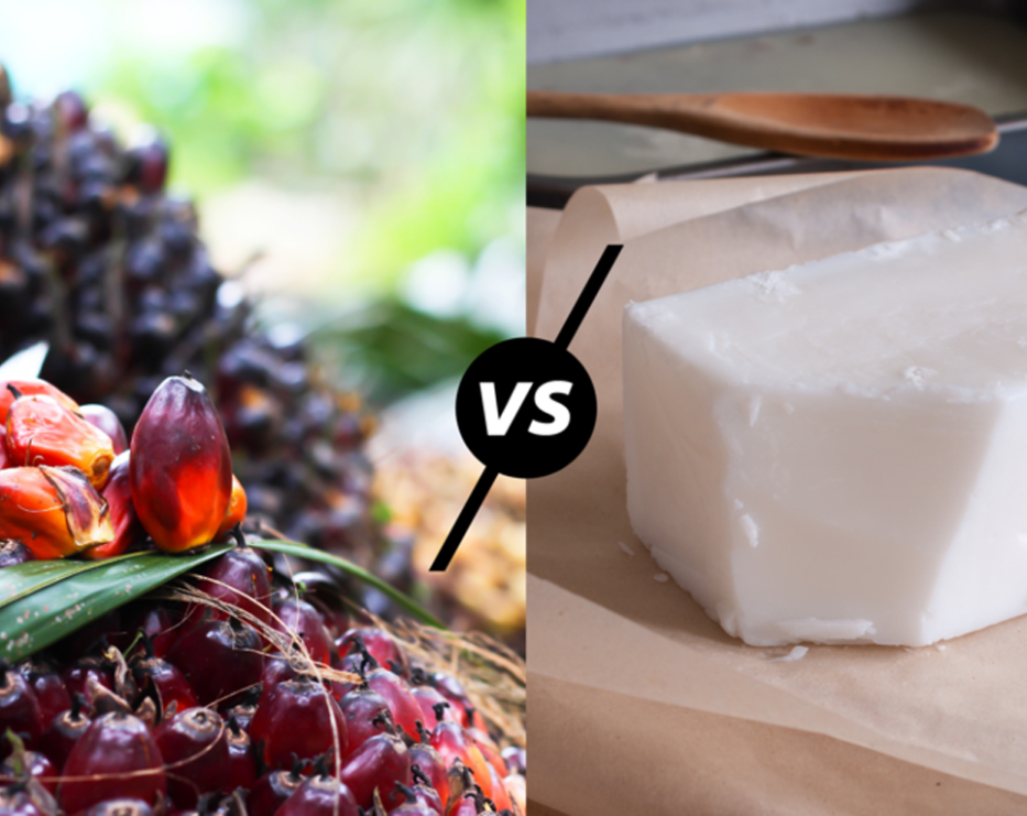 روغن تالو یا روغن پالم مقایسه روغن پالم با روغن تالو یا اسید چرب تالو در شرکت پاک شیمی غرب به مدیریت عامل نبی جاهد